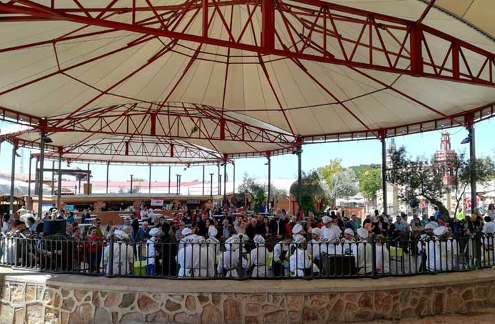 Participantes y actividades hosteleras
