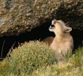 Torres del Paine, Chile, rescata patrimonio histórico y estrena nuevas rutas