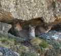 Torres del Paine, Chile, inicia temporada de invierno 2019