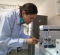 Identifican compuestos antibacterianos en restos de centollón y krill antártico