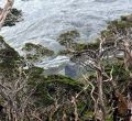 La isla perdida en Magallanes, Chile, que postula a Patrimonio Natural de la Unesco