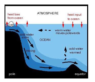 Figura C.Convección oceano, hielo,mezcla de aguas, atmosfera en el Ecuador y en Polo