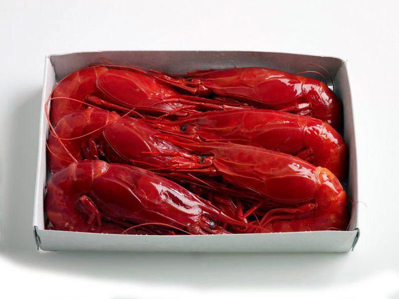 CARABINEROS