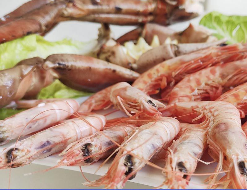 GAMBA BLANCA DE HUELVA