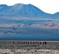 ATACAMA: Visiones de ensoñación