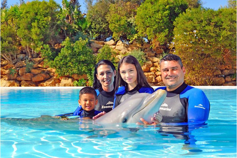 Nadar entre delfines en el Algarve portugués