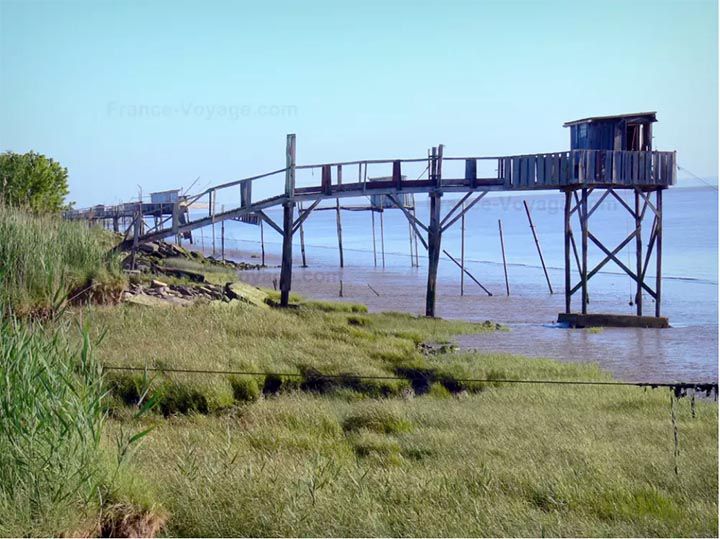 PESCADORES DESDE LA ORILLA