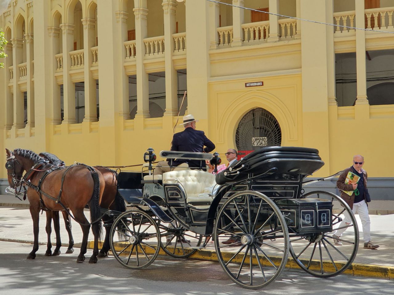 COCHE DE CABALLOS