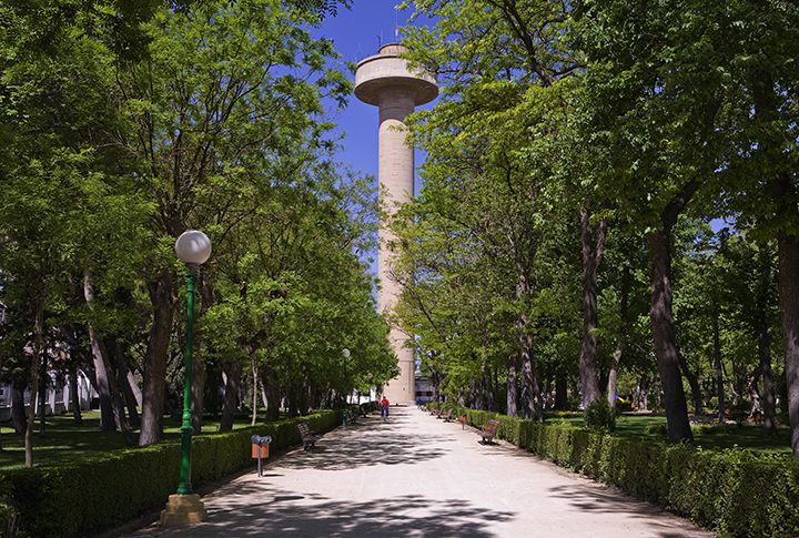 Fiesta del árbol