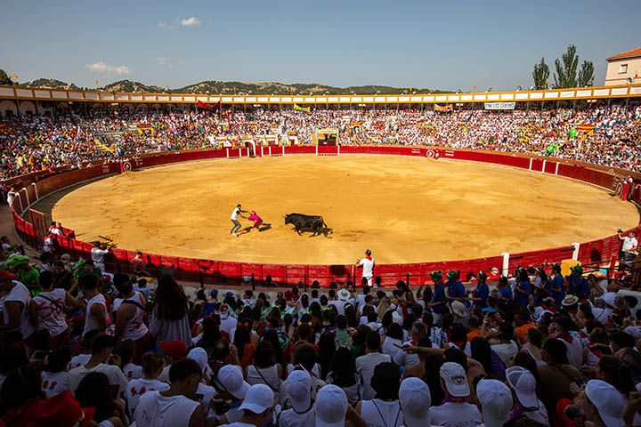 TOREANDO VAQUILLAS