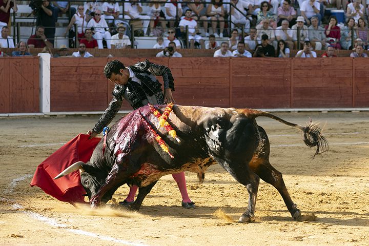 TORERO