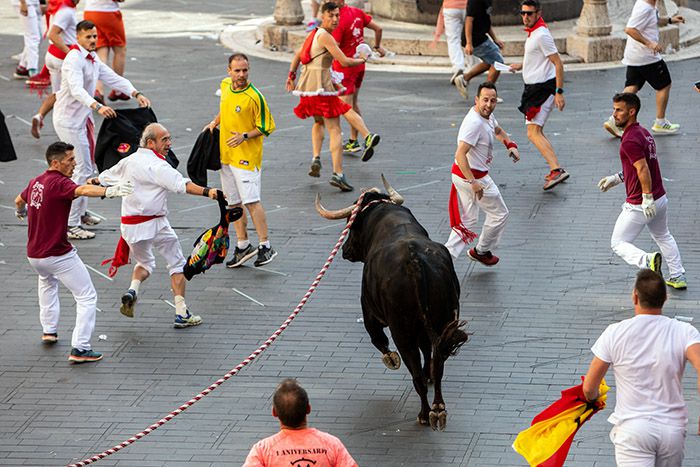 TORO ENSOGADO EN ACCIO?N