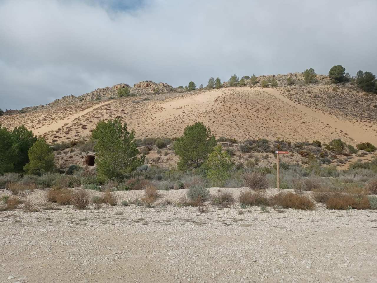 Arenal de Petrer en 2025 (Foto Mercedes Sánchez Sánchez)