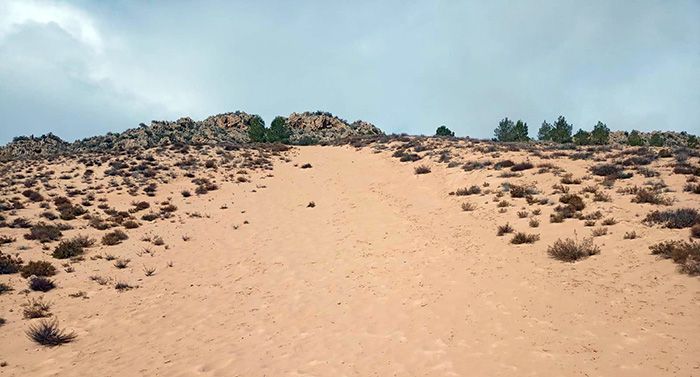 Arenal de Petrer en 2025 (Foto Mercedes Sánchez Sánchez)