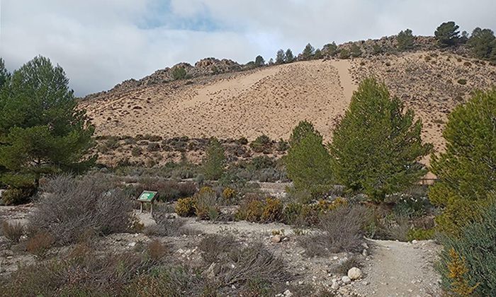 Arenal de Petrer en 2025 (Foto Mercedes Sánchez Sánchez)