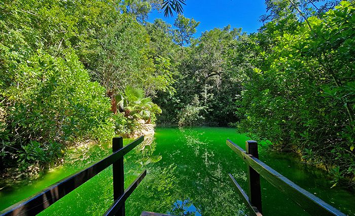 Puerto Morelos. Cenote La Palma