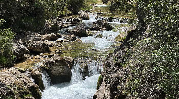  Río Borosa