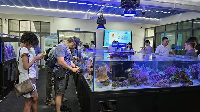CENTRO recuperacio?n de coral de Wuzhizhou