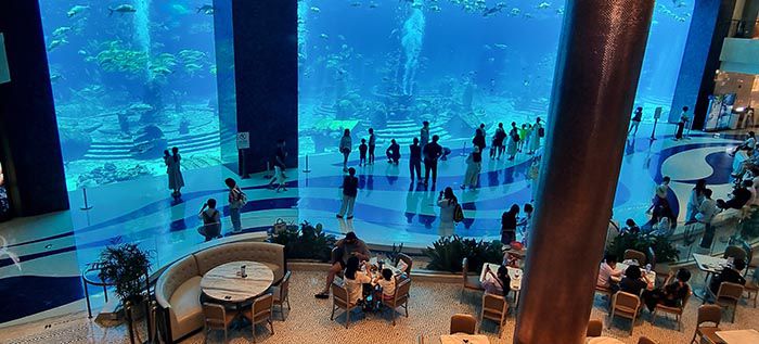 RECEPCIO?N Y ACUARIO ATLANTIS HOTEL