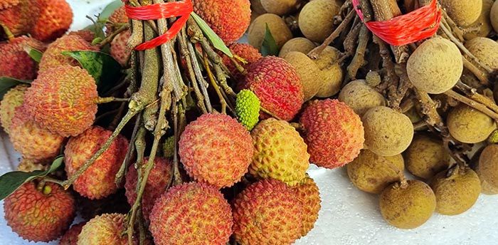 SURTIDO DE Litchis