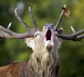 Siete descubrimientos entre Sanabria y los Arribes del Duero en Zamora