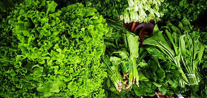 Verduras de hoja verde