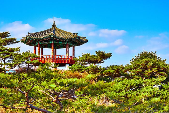 cadop-korea