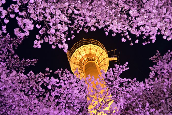 hyungname-south-korea-