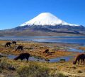 Arica y Parinacota  en la World Travel Market de Londres