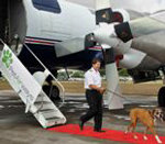 Pet Airways ya vuela con mascotas a cinco ciudades de este país