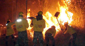 Bomberos bolivianos intentan sofocar un incendio en Santa Cruz. 

