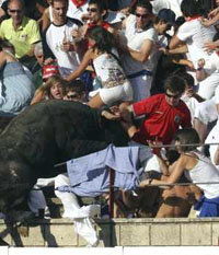 El toro saltó una barrera de casi 10 metros de altura en Tafalla, Navarra