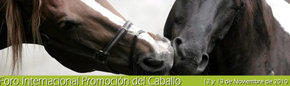 I Foro Internacional de Promoción del Caballo