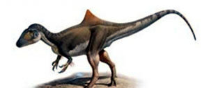 'Nature' publica la descripción del dinosaurio jorobado de Cuenca 