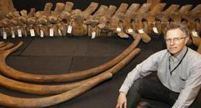 Hallan el esqueleto de una ballena del siglo XVIII en Londres