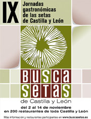 BuscaSetas 2010