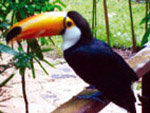 Paraguay, pequeño país con grandezas naturales y lleno de contrastes de color