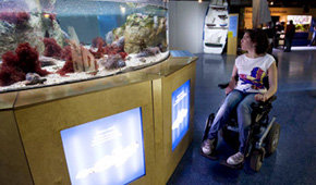 Turismo accesible, turismo para todos