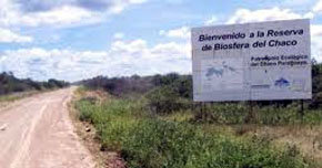 Uno de los proyectos se desarrollará en la reserva forestal Gran Chaco 

