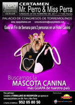 “Mr. Perro y Miss Perra de España”