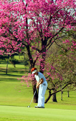 Los torneos de golf contribuyen a la expansión del turismo en Paraguay  