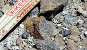 Hallan en México huesos de dinosaurios de 72 millones de años