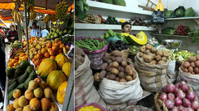 ¿En qué medida ayudan las verduras y frutas a prevenir el cáncer?