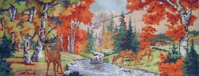 Deers by Dolores Cummiskey