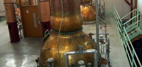 Alambiques en la Destilería