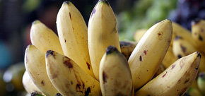 El plátano: El verdadero alimento universal