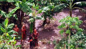 Indígenas de Perú, no contactados