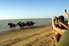 Las Carreras de Caballos de Sanlúcar, protagonistas un año más del verano gaditano 