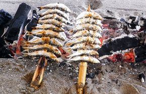 Sardinas a la brasa (y en la playa), una delicia típica de la Costa del Sol...