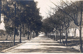 Parque Ecuador en Concepción, a principios del siglo XX